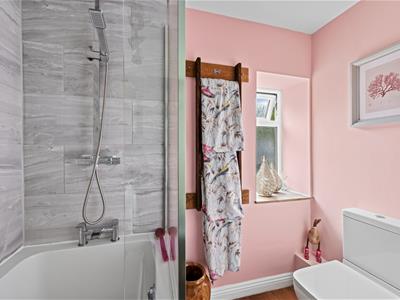 Picture 27